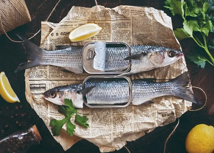 Fish, You Can!