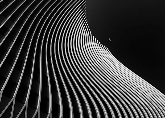 Flying In The Dark