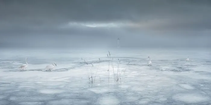 (No) permafrost