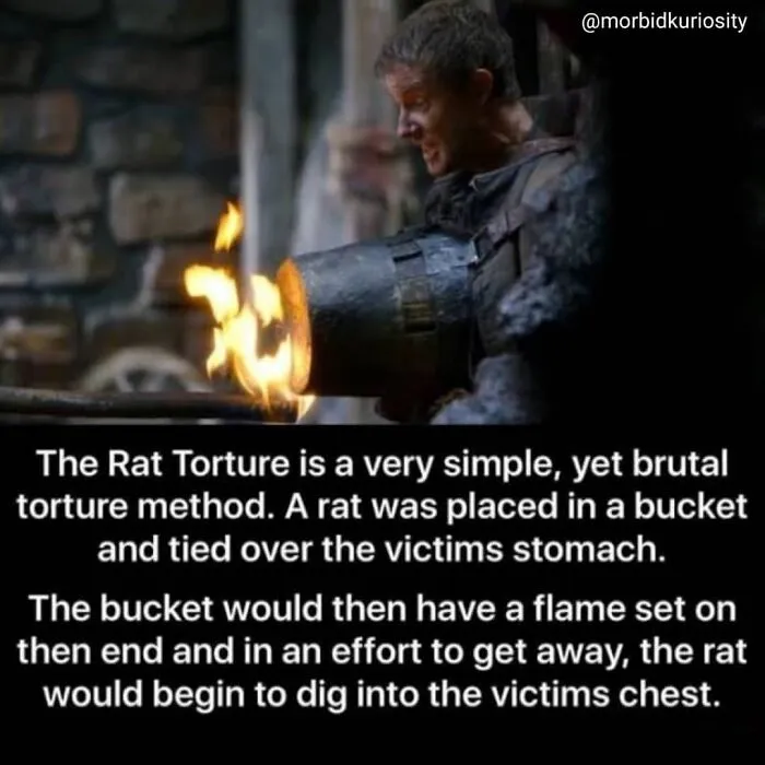 Mid-Evil Times