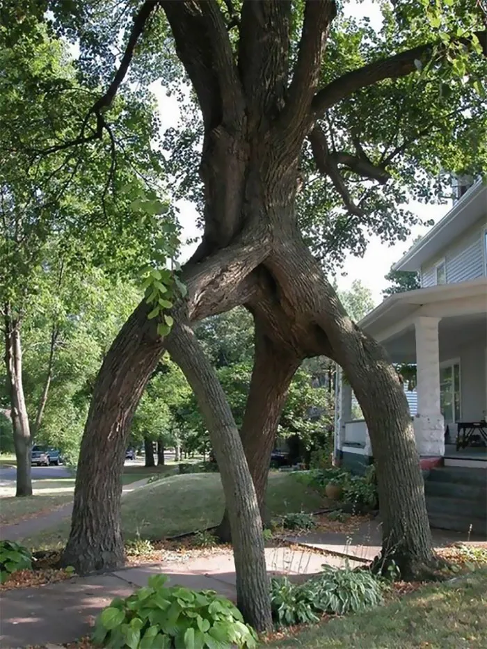 This Facebook Page Is All About Appreciating Woodworking Skills, Here's Their 40 Best Posts