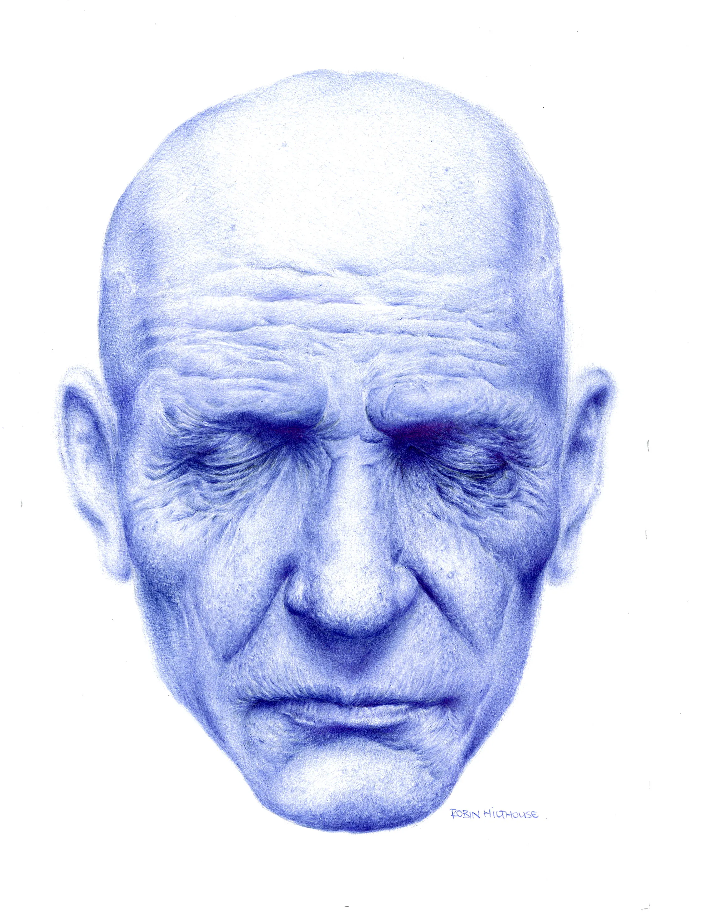 Ballpointpen Art
