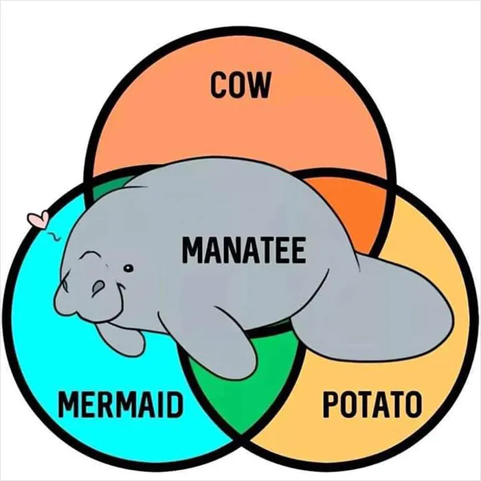 People Are Cracking Up At These 31 Venn Diagrams That Are More Funny Than Useful