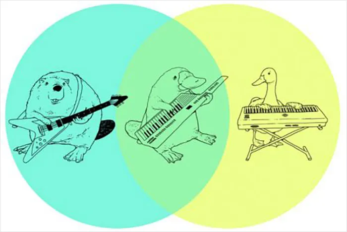 20 Diagramas de Venn que resultan más graciosos que útiles