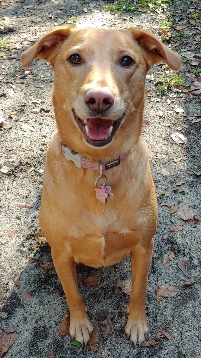Hello, My Name Is Margo