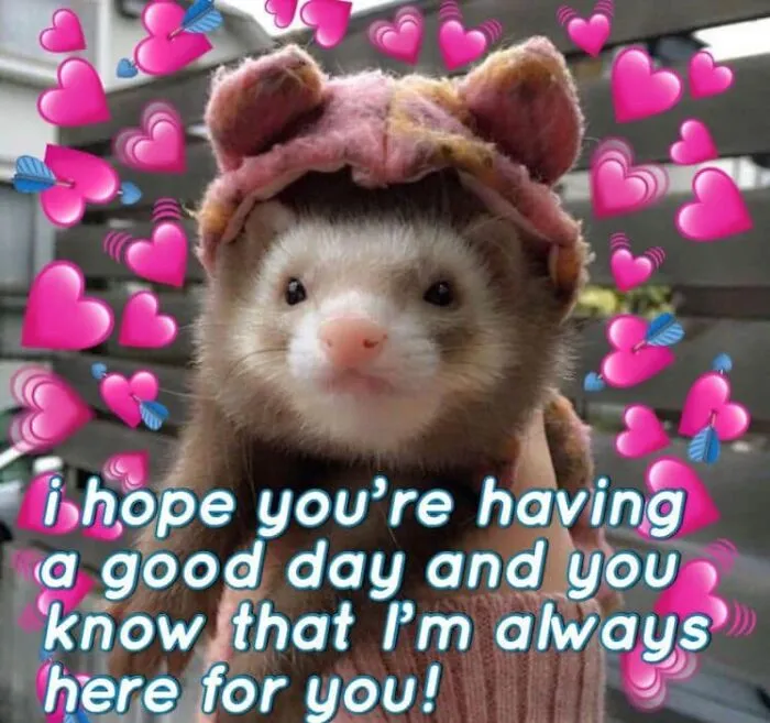 Cute ferret in a pink hat surrounded by heart emojis, sharing a wholesome message.
