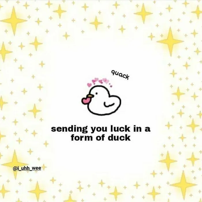 Cute duck with hearts and text "sending you luck," surrounded by stars, showcasing wholesome memes.