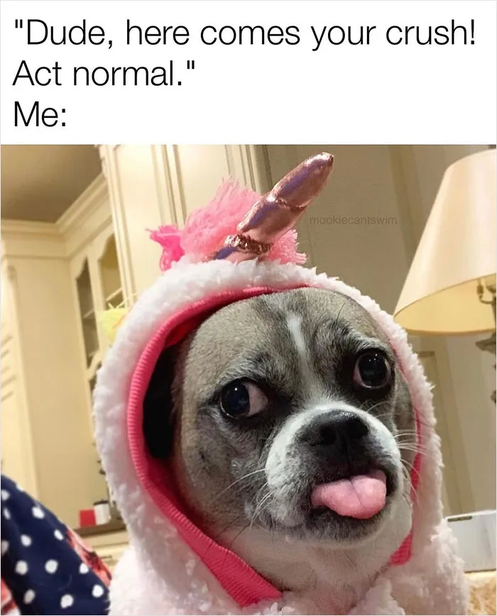 Dog in a pink unicorn costume with tongue out, embodying a wholesome meme moment.