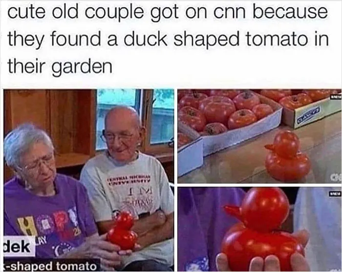 40 Wholesome Memes And Posts That Remind Us The World Isn’t All Bad, As Shared In This Facebook Group