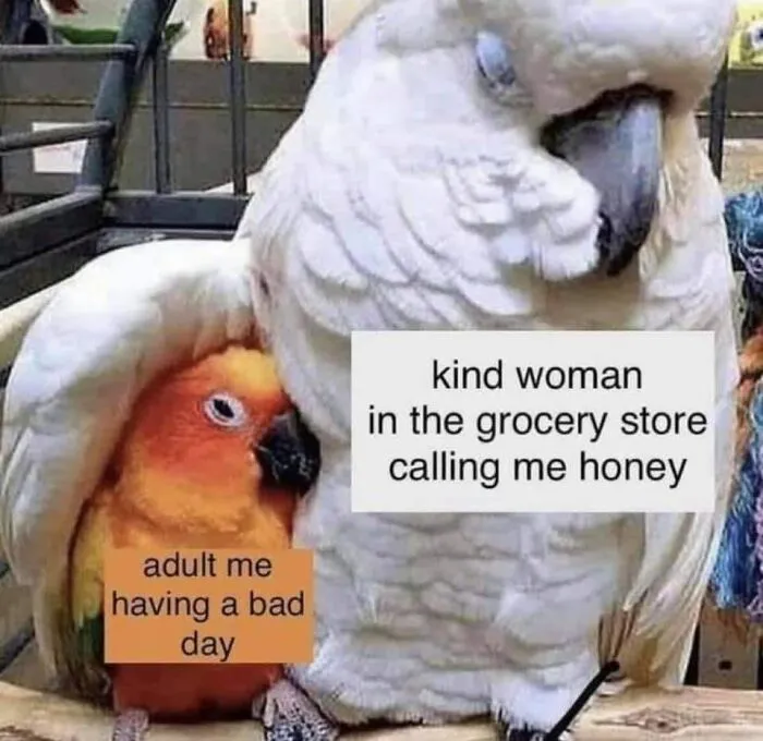 40 Wholesome Memes And Posts That Remind Us The World Isn’t All Bad, As Shared In This Facebook Group