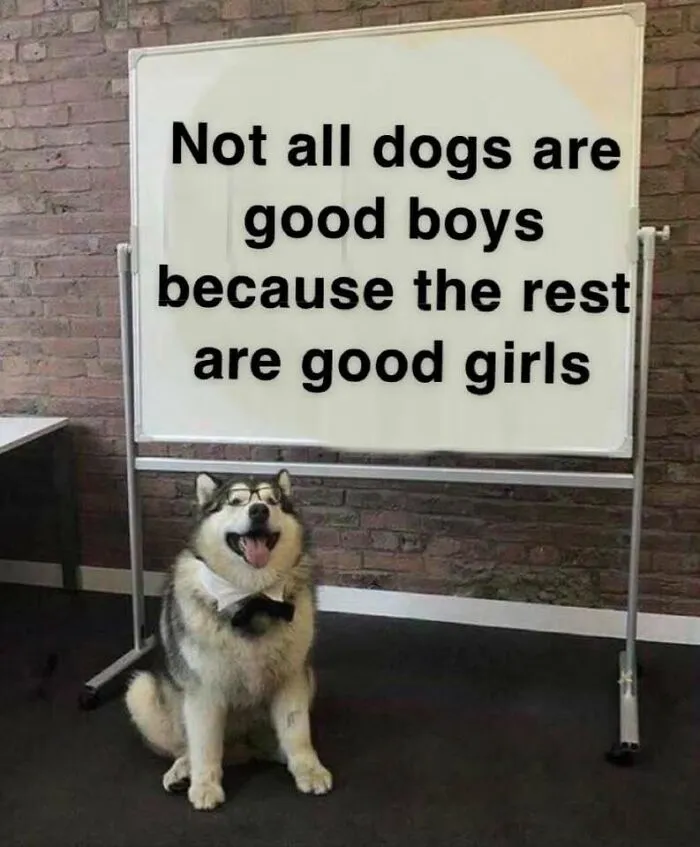 40 Wholesome Memes And Posts That Remind Us The World Isn’t All Bad, As Shared In This Facebook Group