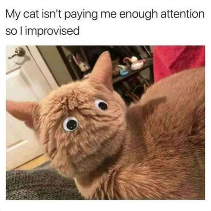 40 Wholesome Memes And Posts That Remind Us The World Isn’t All Bad, As Shared In This Facebook Group
