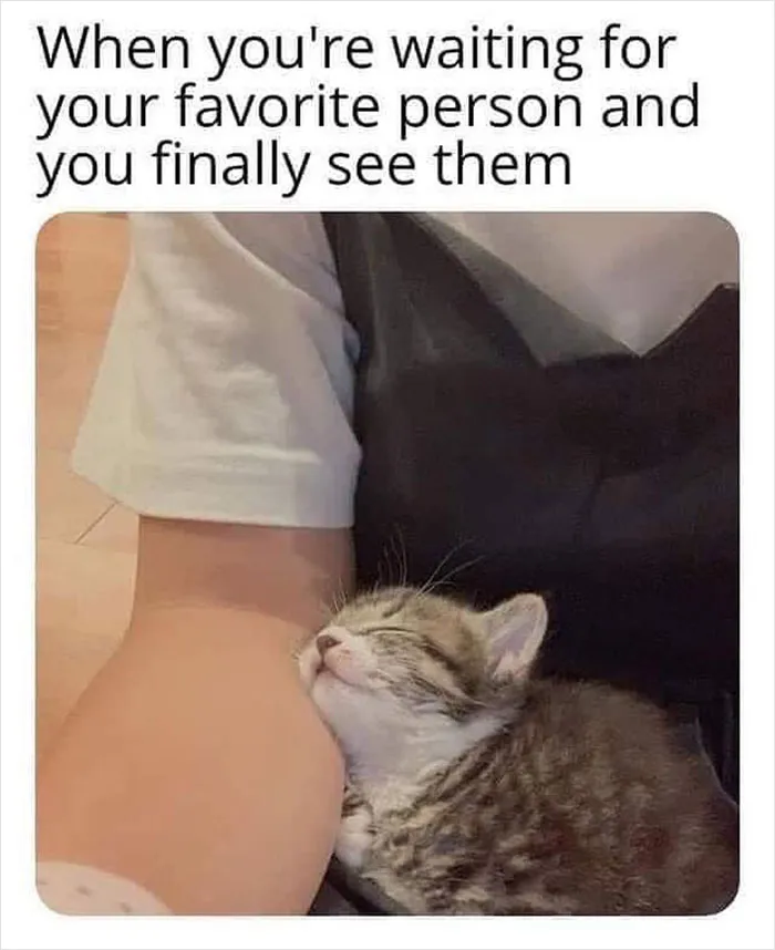 40 Wholesome Memes And Posts That Remind Us The World Isn’t All Bad, As Shared In This Facebook Group