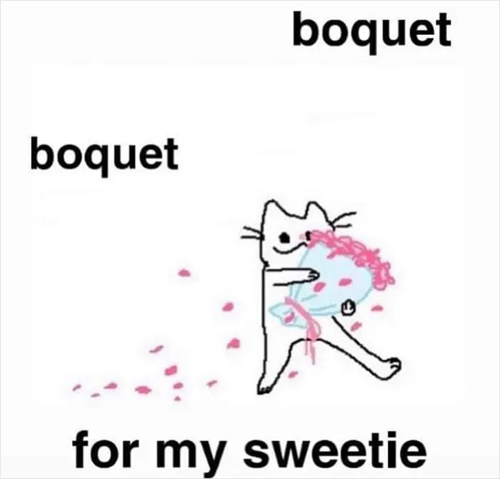 Cartoon cat with a bouquet, spreading petals, captioned "boquet for my sweetie," conveying a wholesome vibe.