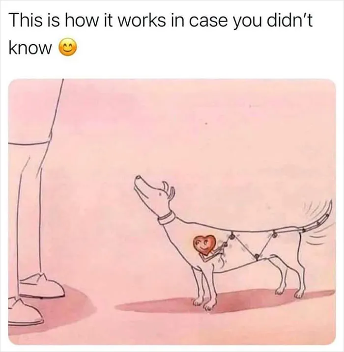 40 Wholesome Memes And Posts That Remind Us The World Isn’t All Bad, As Shared In This Facebook Group