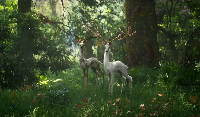 Annihilation