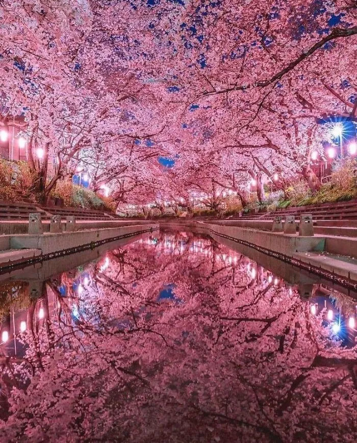 Saitama Japan