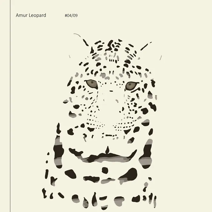 I Drew 9 Spotted Amur Leopards
