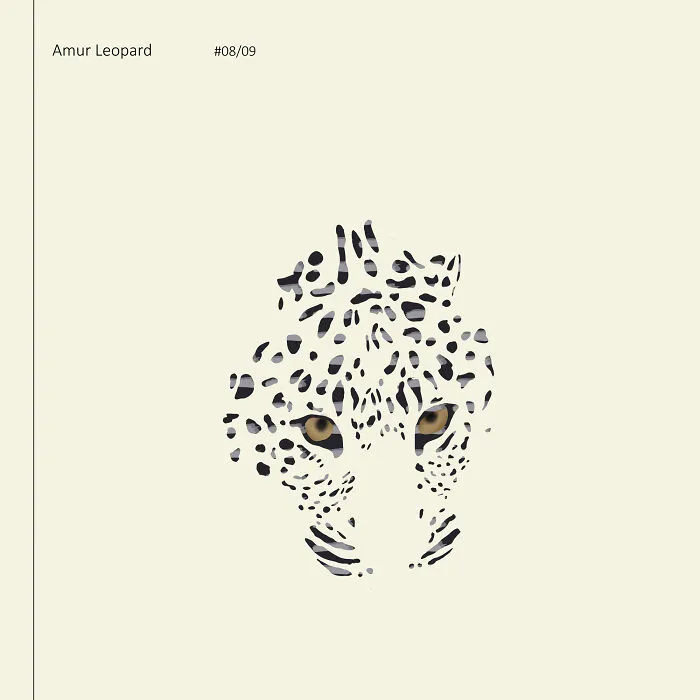 I Drew 9 Spotted Amur Leopards