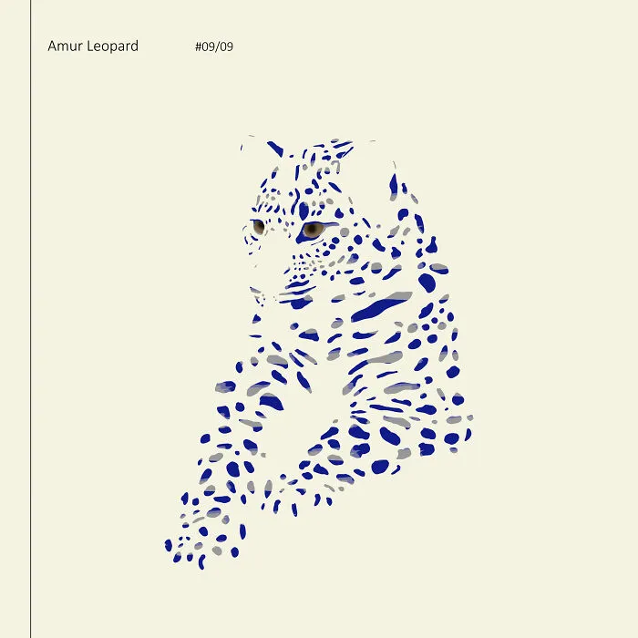 I Drew 9 Spotted Amur Leopards