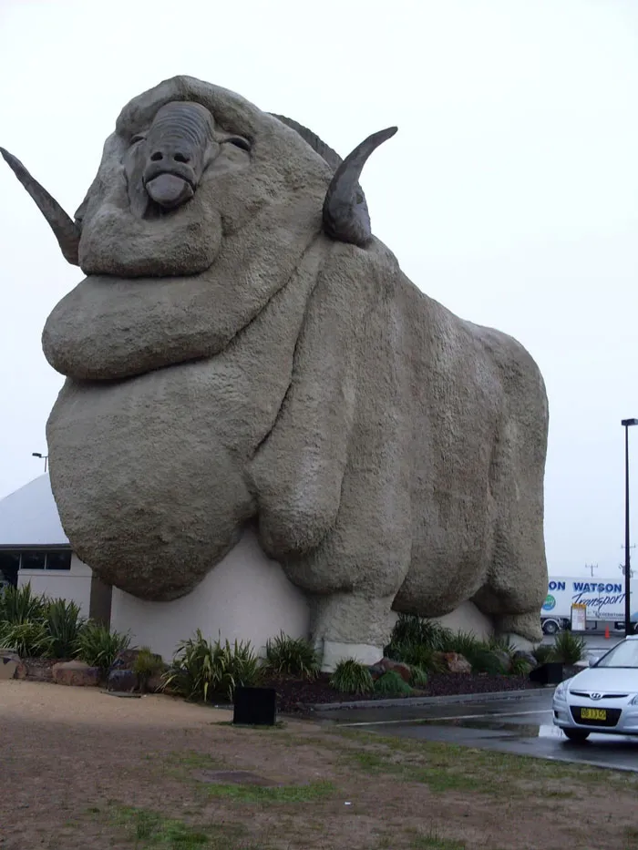 I Just Couldn’t Resist This When I Saw It On My Friends Newsfeed Yesterday- Australia