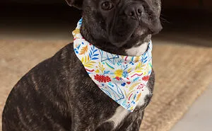 This Bandana Helps Dogs In Ukraine