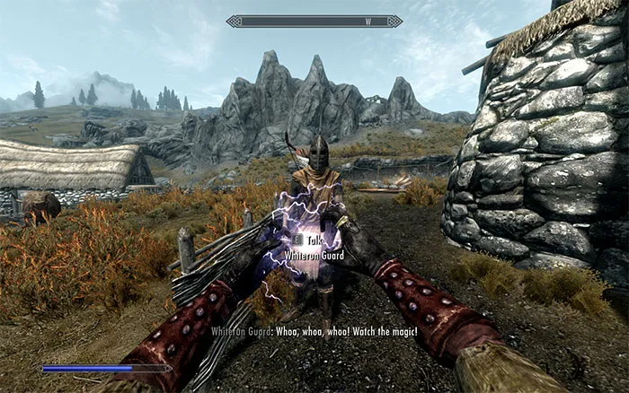 The Elder Scrolls V: Skyrim