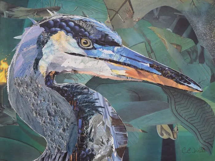 Blue Heron