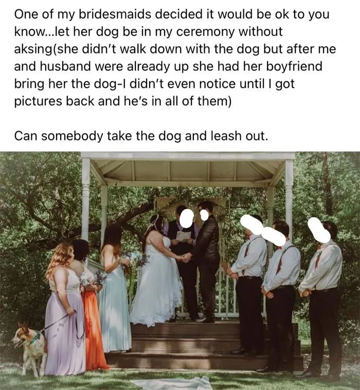 Shaming Bridesmaid