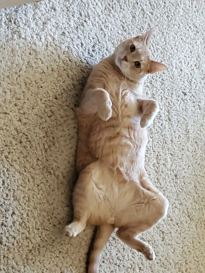 Charlie Here,check Me Out