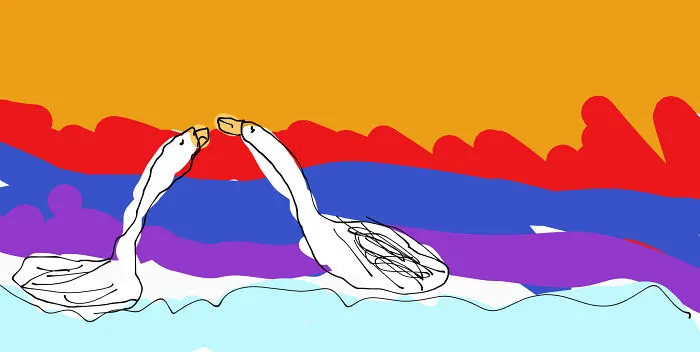 I Don't Know Why I Thought Swans Wouldbe Easiest