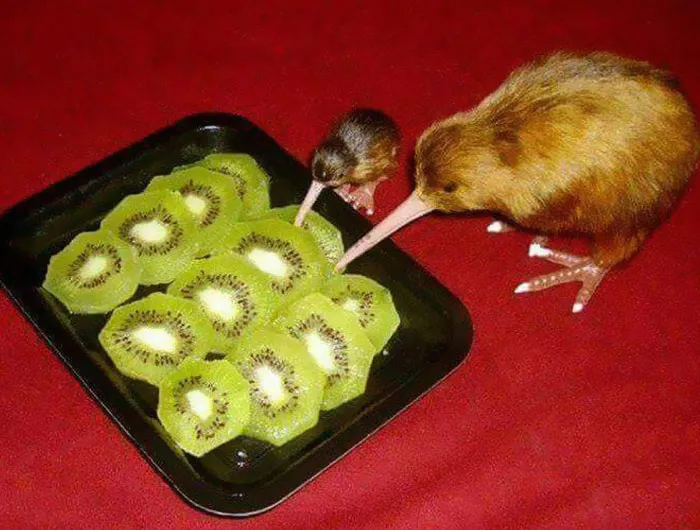 40 Of The Best "Chaotic Food" Pics That Might Raise A Few Questions