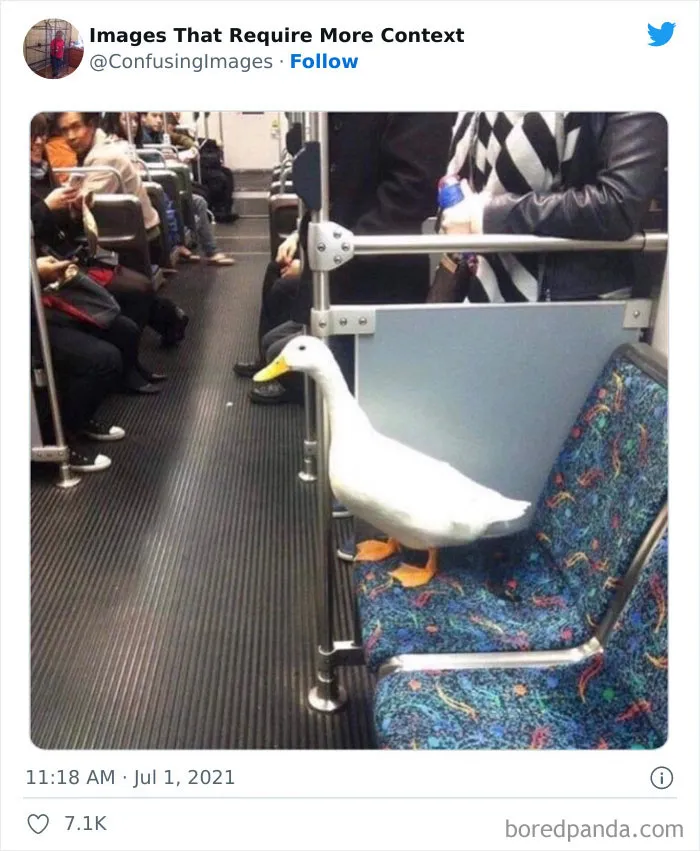 30 Funny And Confusing Pics Posted By The “Images That Require More Context” Twitter Page (New Pics)