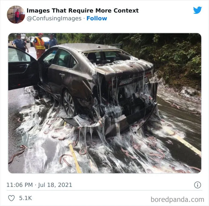 26 Fotos tan divertidas como confusas publicadas por la página "Imágenes que requieren más contexto" (nuevas fotos)