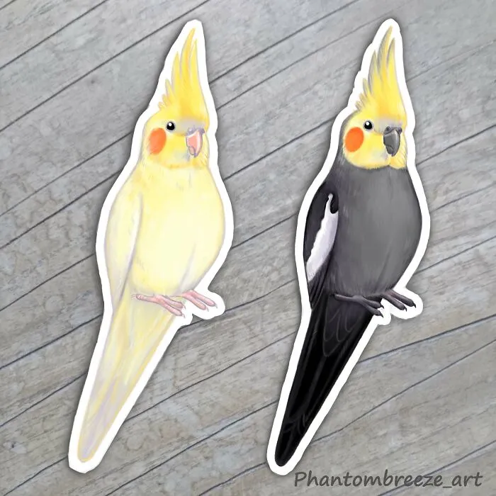 Cockatiels
