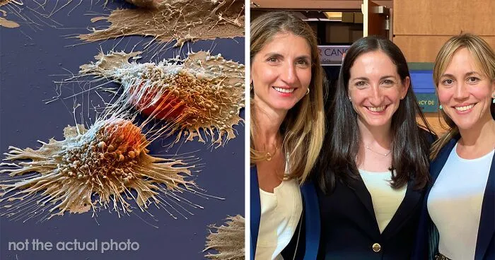 Unexpected Breakthrough In Cancer Drug Trial As All Patients Are Considered In Remission
