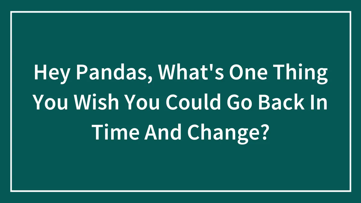 Hey Pandas, What's One Thing You Wish You Could Go Back In Time And Change?
