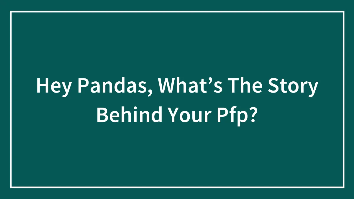 Hey Pandas, What’s The Story Behind Your Pfp?