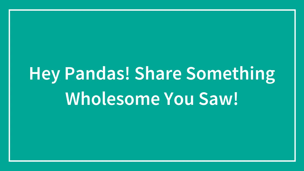 Hey Pandas! Share Something Wholesome You Saw!