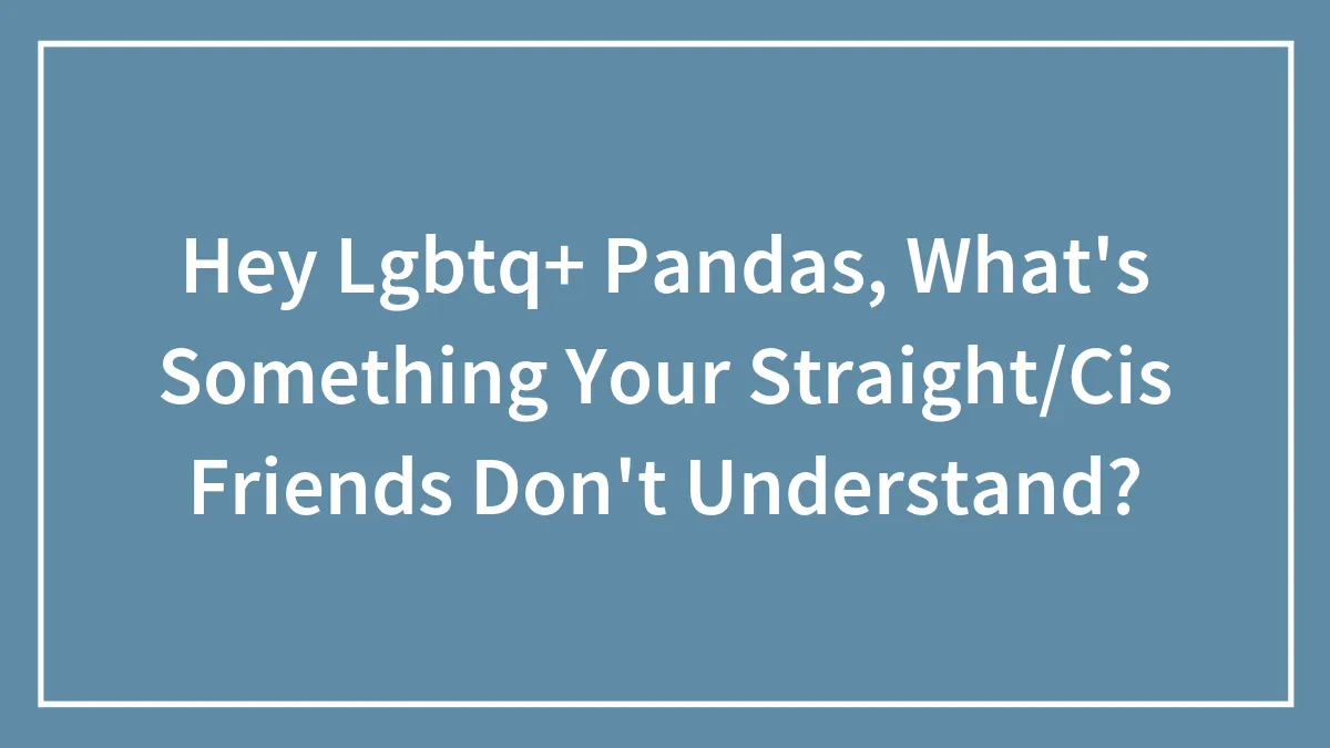 Hey Lgbtq+ Pandas, What's Something Your Straight/Cis Friends Don't Understand?