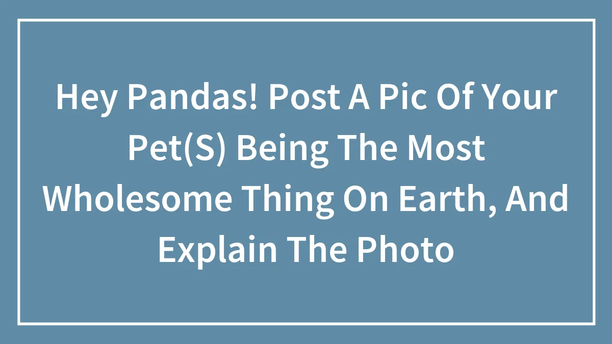 Hey Pandas! Post A Pic Of Your Pet(S) Being The Most Wholesome Thing On Earth, And Explain The Photo