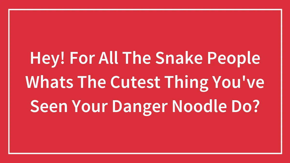 Hey! For All The Snake People Whats The Cutest Thing You've Seen Your Danger Noodle Do?