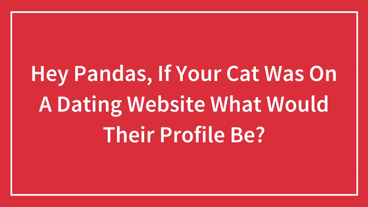 Hey Pandas, If Your Cat Was On A Dating Website What Would Their Profile Be?