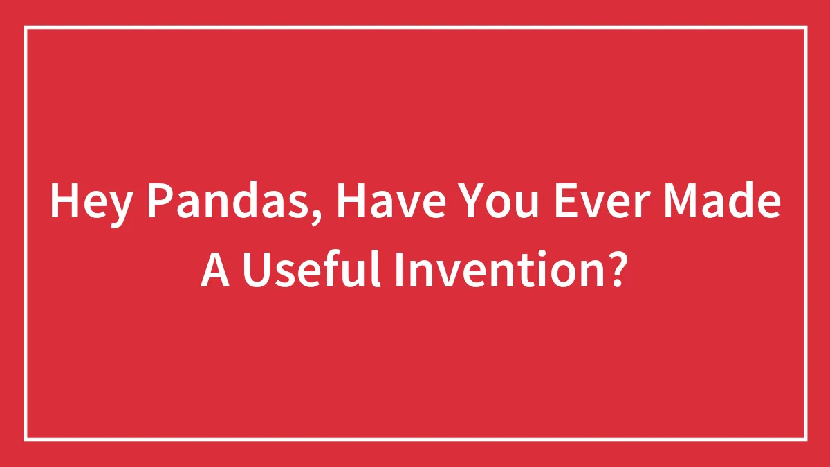 Hey Pandas, Have You Ever Made A Useful Invention?