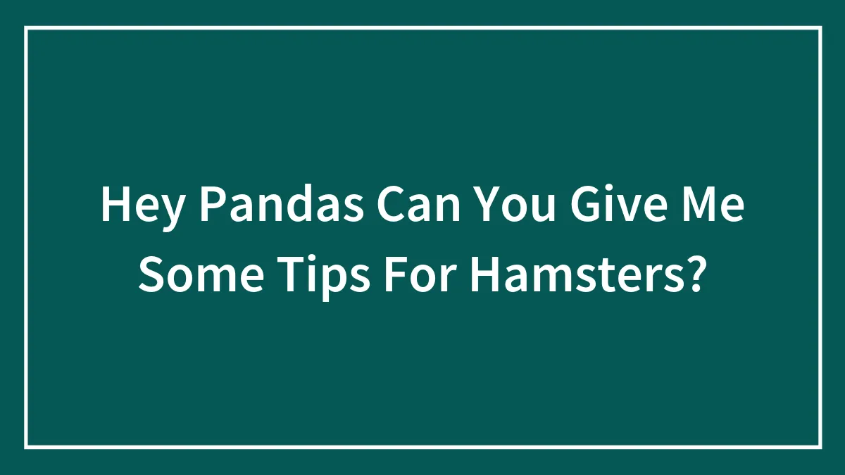 Hey Pandas Can You Give Me Some Tips For Hamsters?