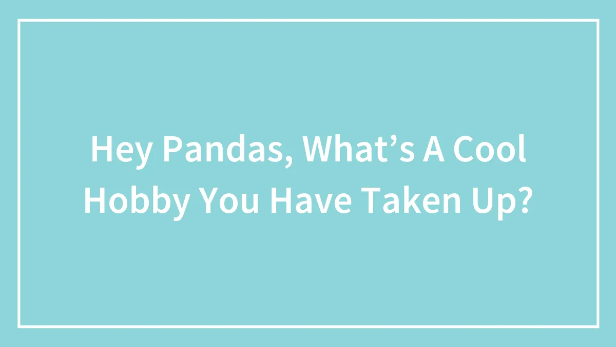 Hey Pandas, What’s A Cool Hobby You Have Taken Up?