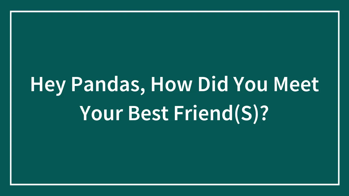 Hey Pandas, How Did You Meet Your Best Friend(S)?