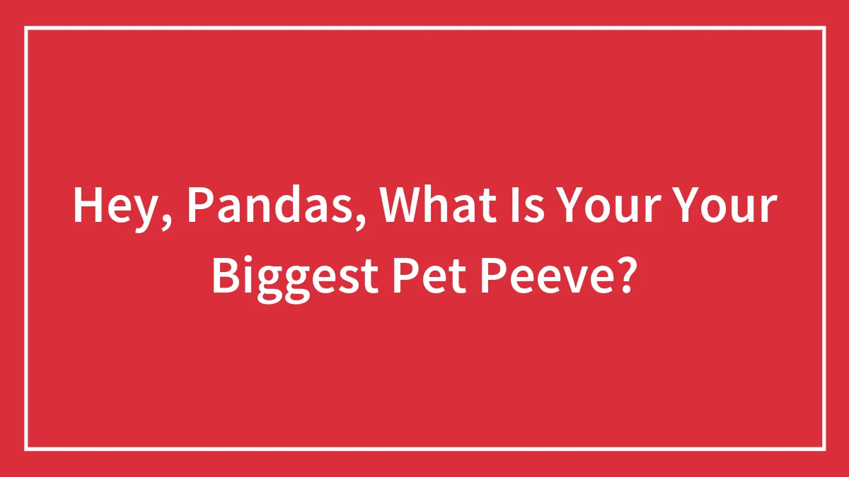 Hey, Pandas, What Is Your Your Biggest Pet Peeve?