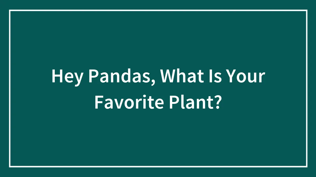Hey Pandas, What Is Your Favorite Plant?