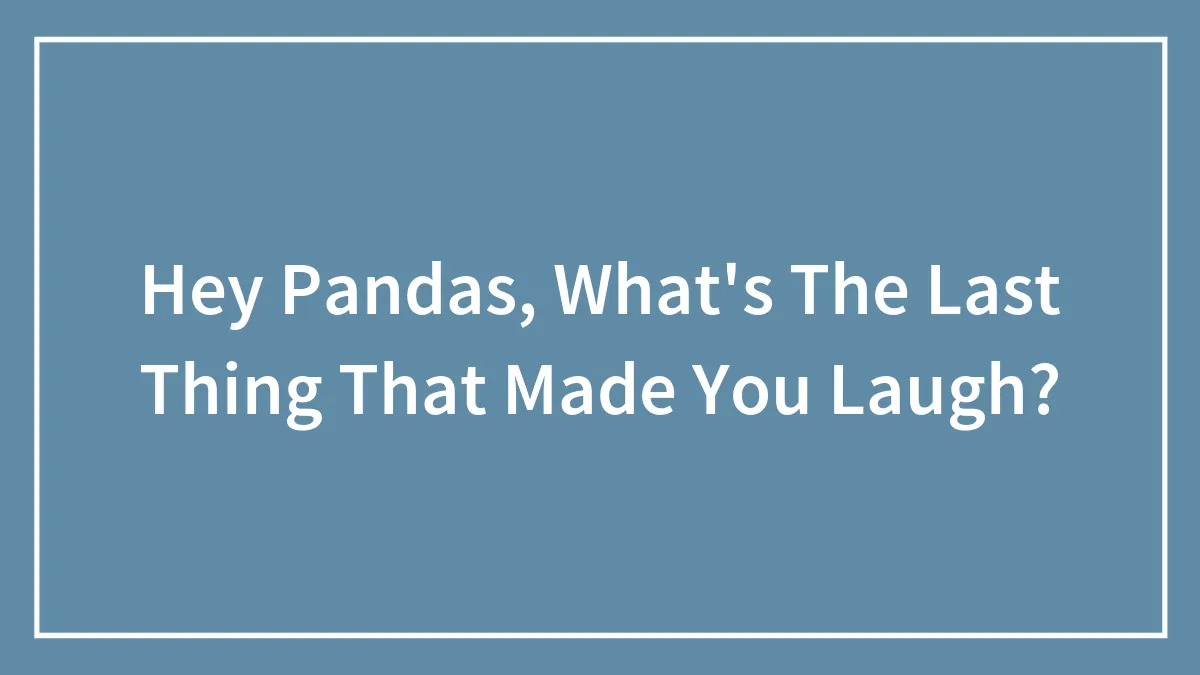 Hey Pandas, What's The Last Thing That Made You Laugh?